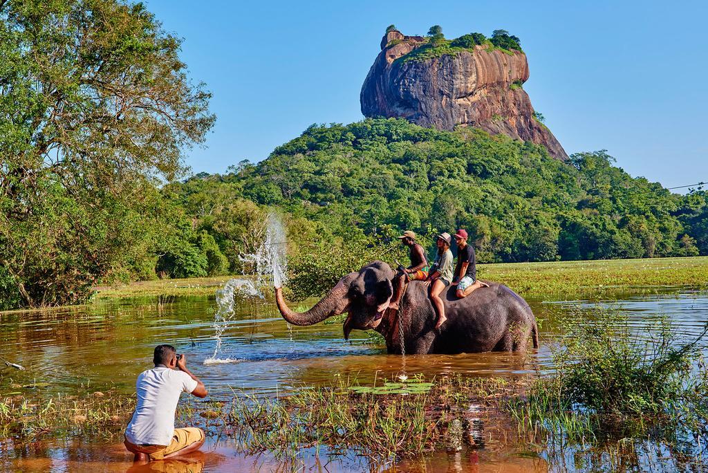 The Courtyard Villa Sigiriya Exteriör bild